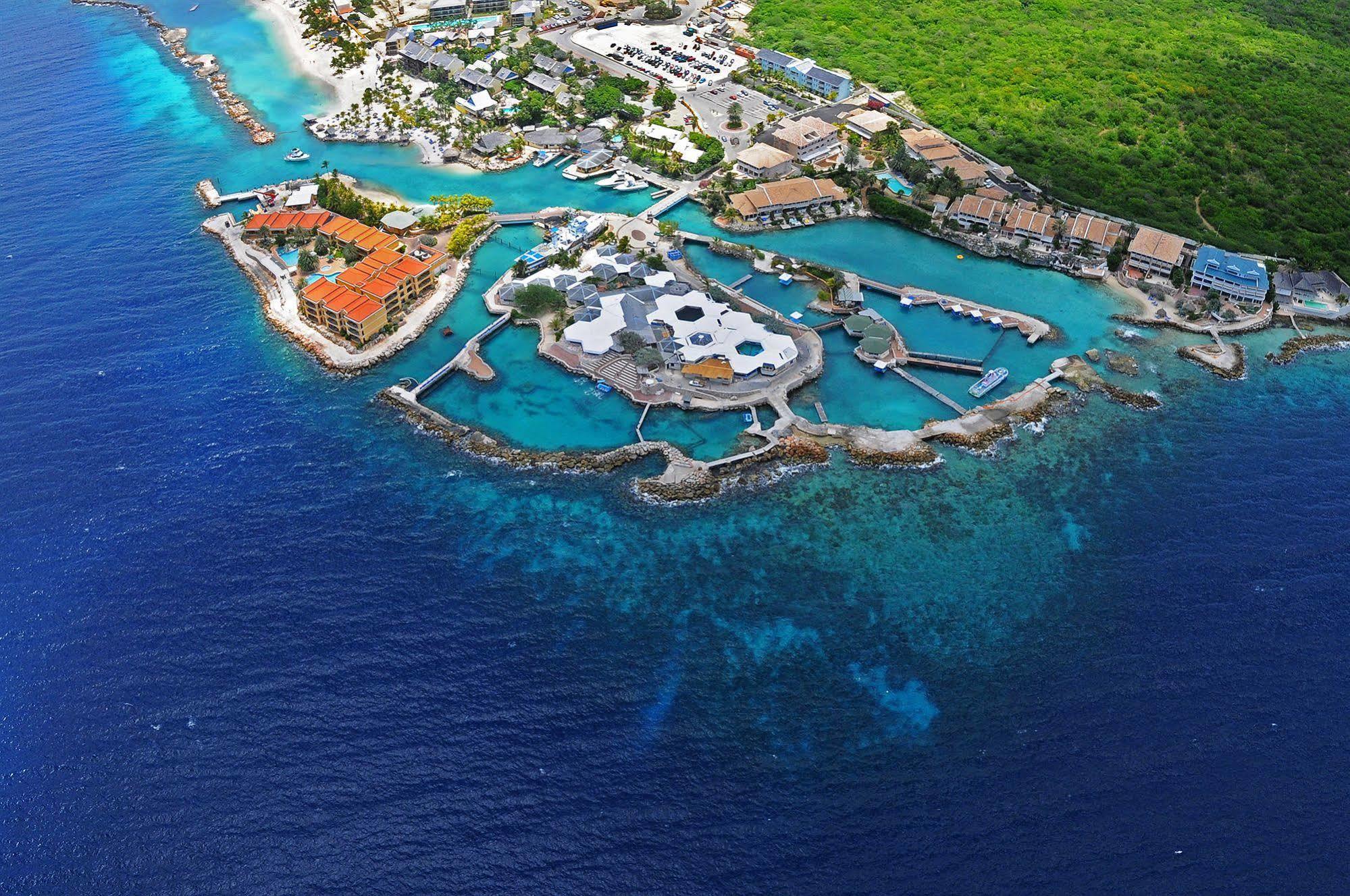 Dolphin Suites & Wellness Curacao يلمستاد المظهر الخارجي الصورة
